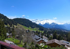 50 m² Apartment ∙ 1 bedroom ∙ 4 guests