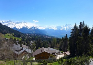 50 m² Apartment ∙ 1 bedroom ∙ 4 guests