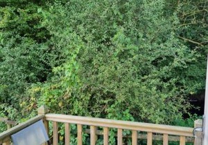 Glamping Hut - Sleeps 2 hot tub & parking