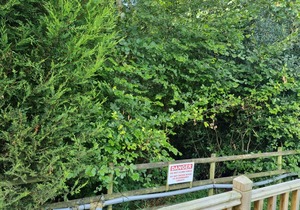 Glamping Hut - Sleeps 2, hot tub & parking
