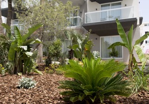 Urban Valley Resort & Spa