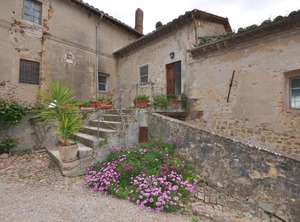 Marsilia | Marsiliana