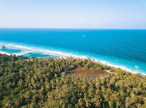Olive Goidhoo | Goidhoo