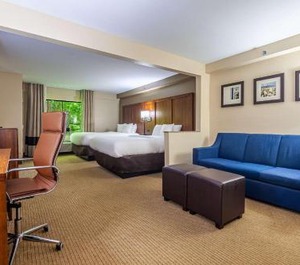 Comfort Suites Atlanta South 