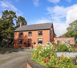Newydd 