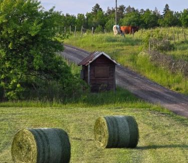 Soderkoping Bed & Breakfast | Åängens Bed o Breakfast
