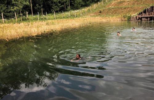 Vizvar House | ÉDEN PARK VÍZVÁR