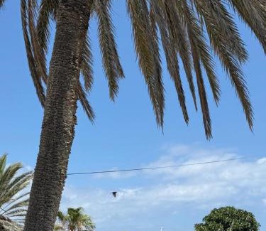 Bizerte Villa | Évasion côtière à la Corniche - Villa sur la mer