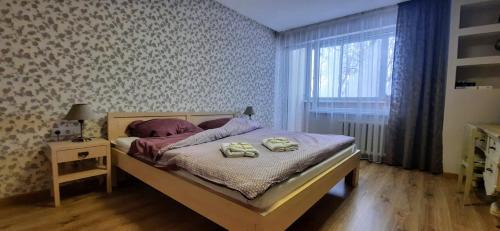 Druskininkai Apartment | Čiurlionis Apartment Druskininkai