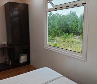 Dan Phuong Apartment | Đồng Sậy Homestay