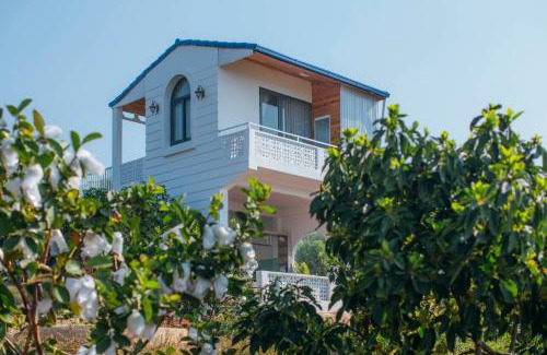 Don Duong House | Điểm du lịch canh nông Avocado Farm