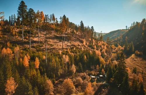 Spisske Bystre Ski Chalet | Škandinávske domčeky-lesná sauna a ubytovanie