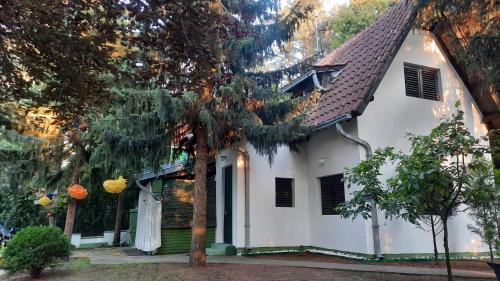 Banatski Karlovac House | Šumska kuća Atina - Devojački Bunar