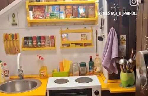 Banatski Karlovac House | Šumska kuća Atina - Devojački Bunar