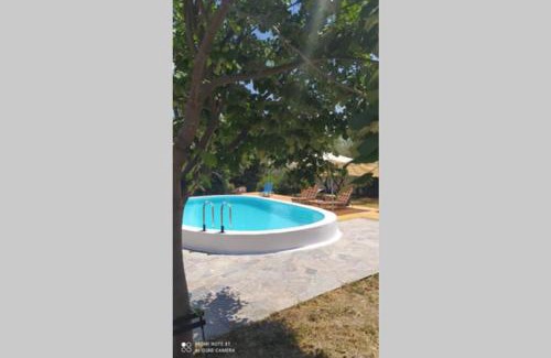 Dirfys-Messapia House | ΑΡΧΟΝΤΙΚΟ ΣΤΟΥΣ ΠΡΟΠΟΔΕΣ ΤΟΥ ΟΡΟΥΣ ΔΙΡΦΥΣ