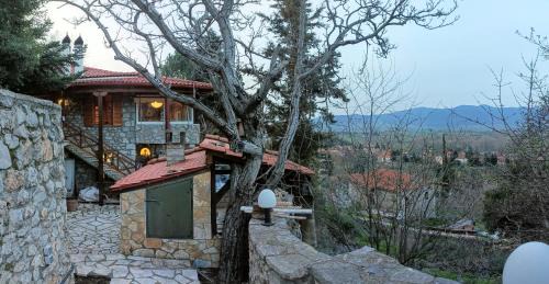 Lilaia House | Η θέα Τhe View