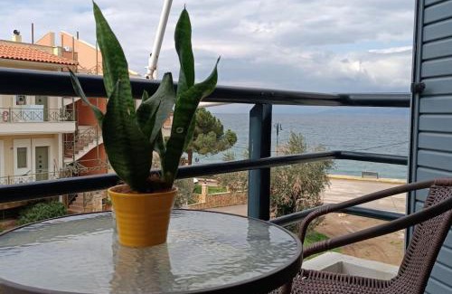 Arkitsa Apartment | Νηρηίδες