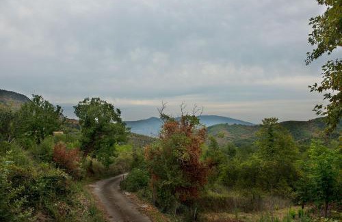 Kefalochori House | Ο κισσός