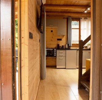 Kefalochori House | Ο κισσός