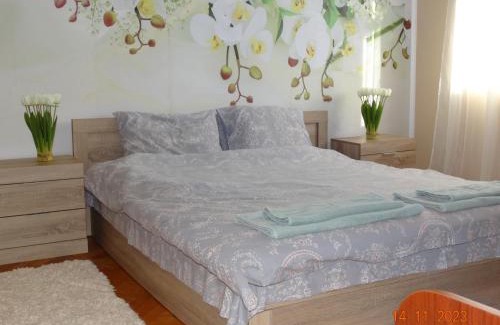 Vranyantsi Apartment | АЛЕКСАНДРА