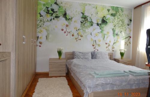 Vranyantsi Apartment | АЛЕКСАНДРА