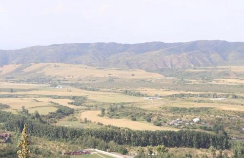 Tuzdybastau Other | Алматы Эко