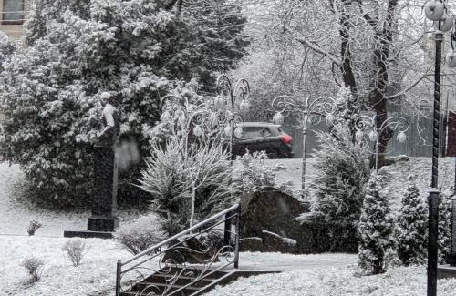 Truskavets Apartment | Апартаменти біля парку з бюветом мінеральної води