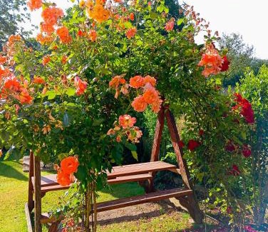 Yaremche Apartment | Апартаменти з двома спальнями і кухнею