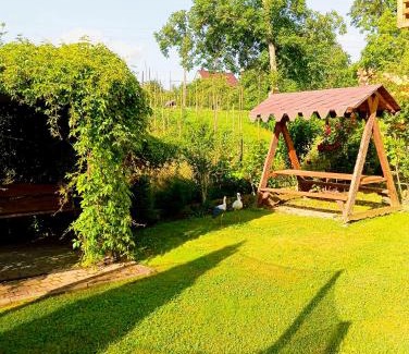 Yaremche Apartment | Апартаменти з двома спальнями і кухнею