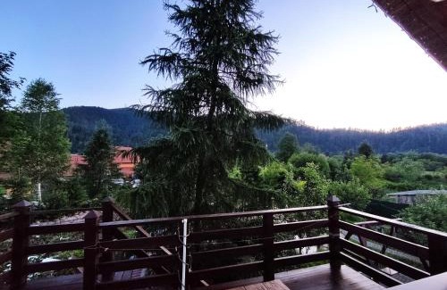 Mykulychyn Apartment | Апартаменти У Кузьмича (номер студіо)