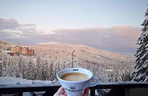 Pamporovo Apartment | Апартамент А101 хотел Снежанка