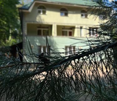 Serednye Hotel | База відпочинку ШИПОВЕЦЬ