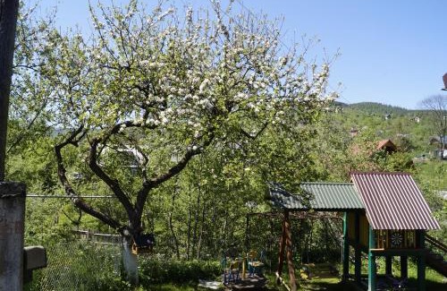 Yaremche House | Будиночок в Карпатах