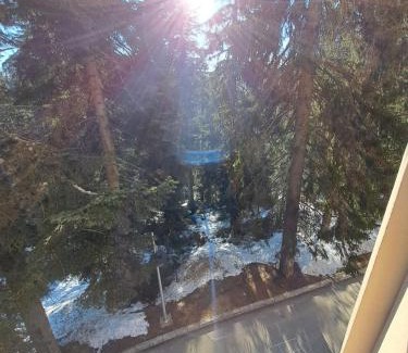 Pamporovo Apartment | ВасиленаАпарт