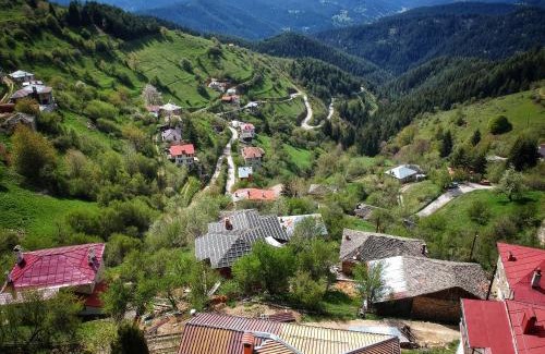 Chepelare House | Вила Зора