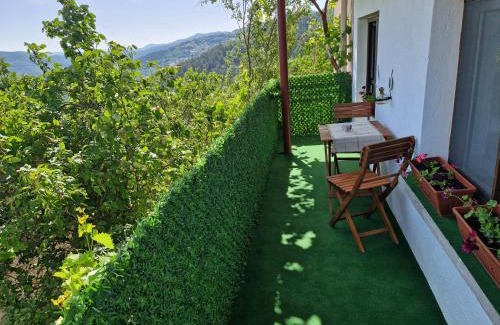 Madan Other | Вила Леска