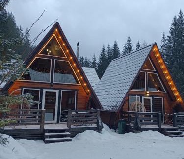 Soymy Apartment | В Обіймах Гір