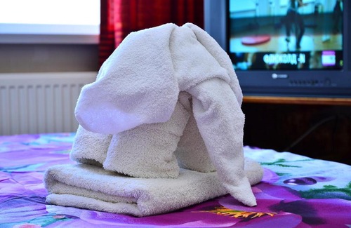 Fastiv Apartment | Героїв Танкістів, 8