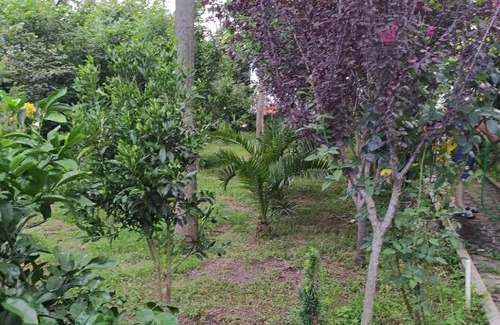 Poti Bed & Breakfast | Гостевой домик у речки