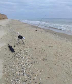 Odessa Oblast House | Гостевой дом на Елисейских полях