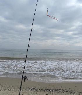 Odessa Oblast House | Гостевой дом на Елисейских полях