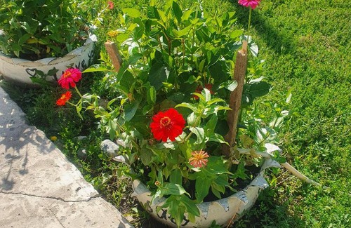 Saty House | Гостевой дом Сауле 1