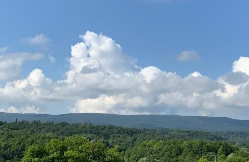 Truskavets House | Гостьовий двір РіОНІ