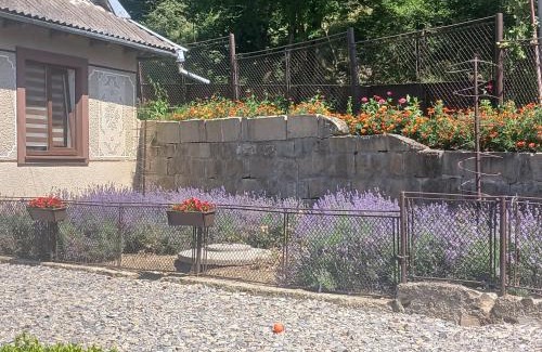 Yaremche House | Гостьовий двір