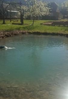 Soymy Apartment | Готель Людмила,