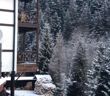 Mykulychyn Resort | Готель RIVER HILL