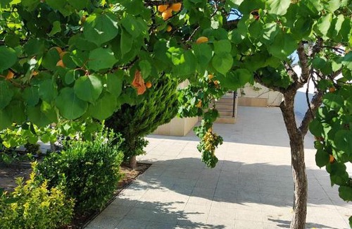 Novkhana House | дачный дом