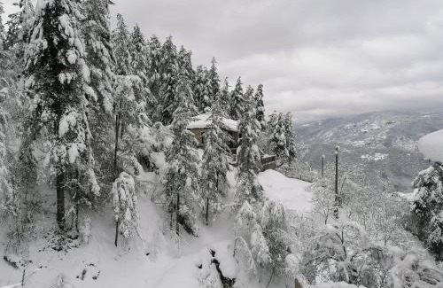Luki Villa | Каменната къща