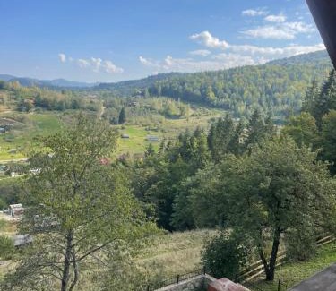 Yaremche Villa | Карпатский Рай