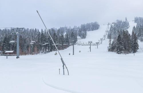 Plavya Hotel | Карпатська Ружа